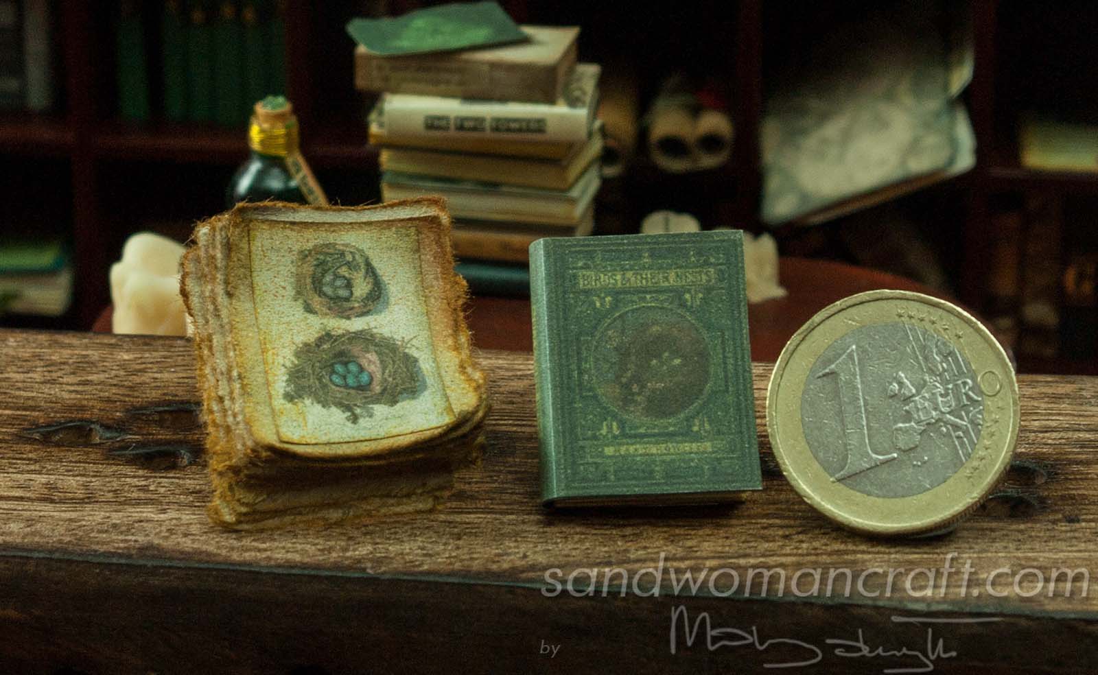 Miniature book and aged papers set. Birds and their nests