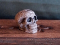 Miniature celtic skull, candles, books